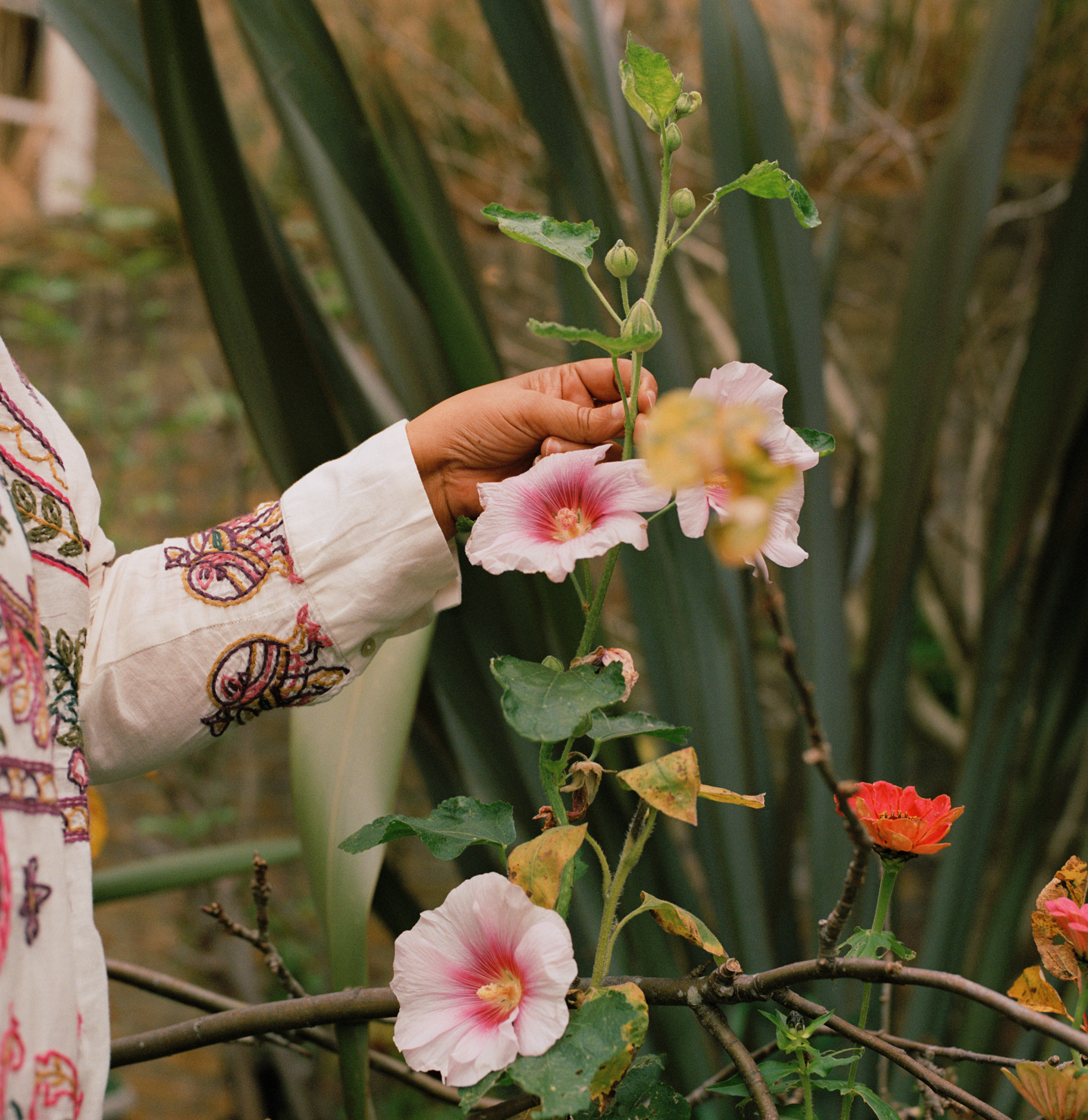 Lana’s journey to Caritas Bakhita House