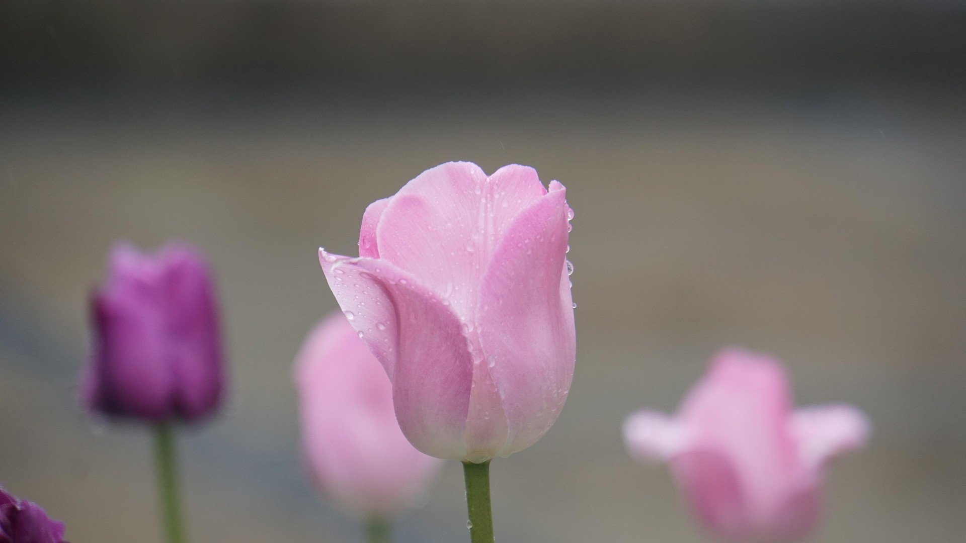 Why do we still need a day to think about women each year?